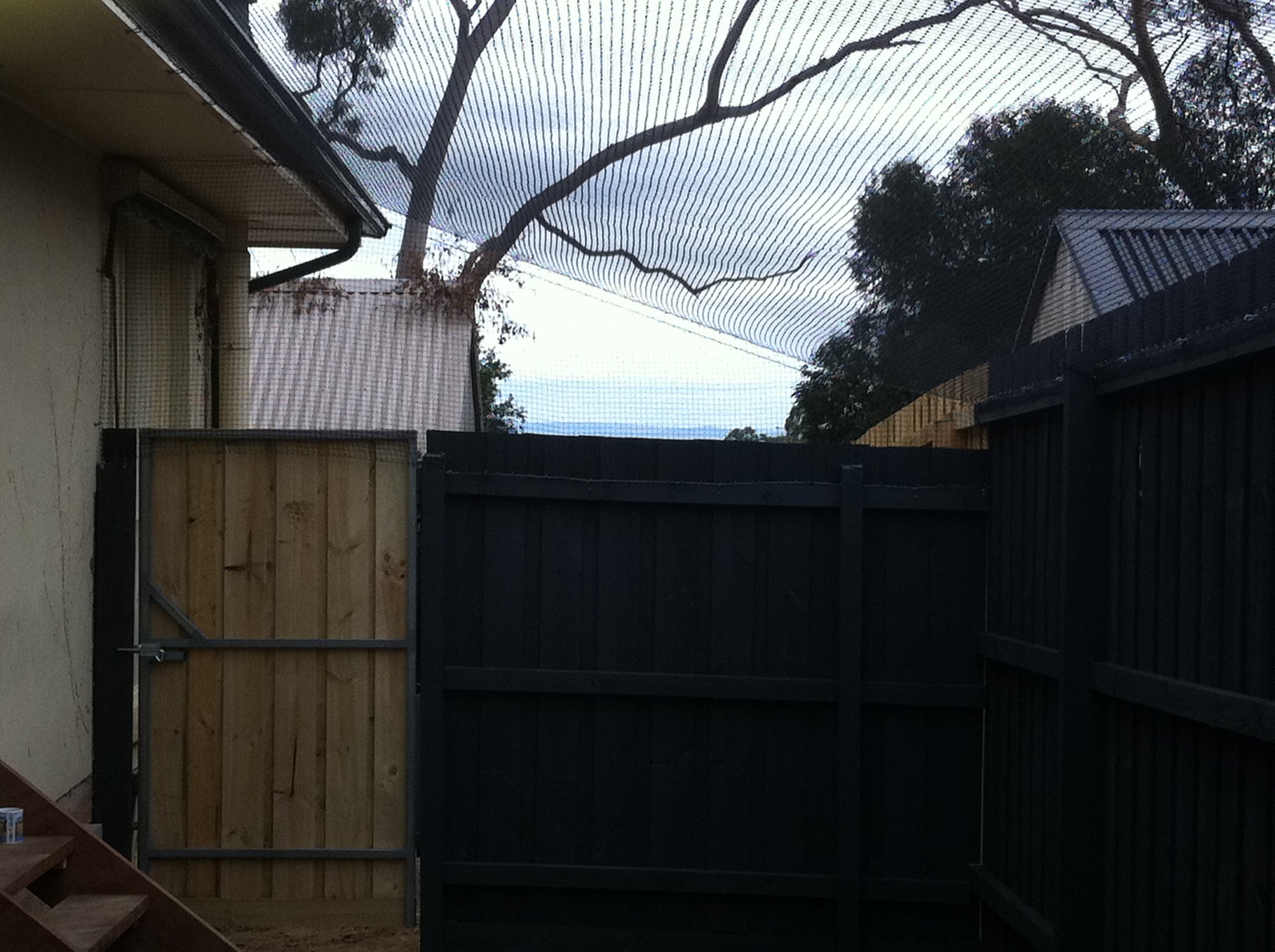 Outdoor Cat Enclosures and Installers in Melbourne